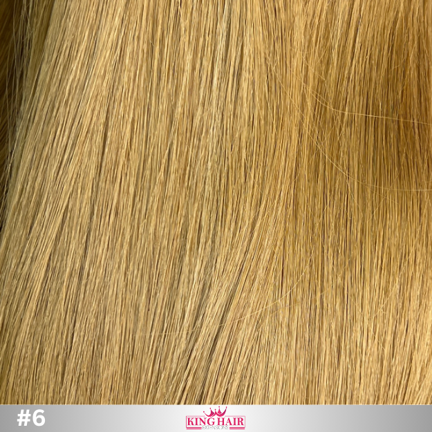 Straight #6 Tape-in hair extension donor